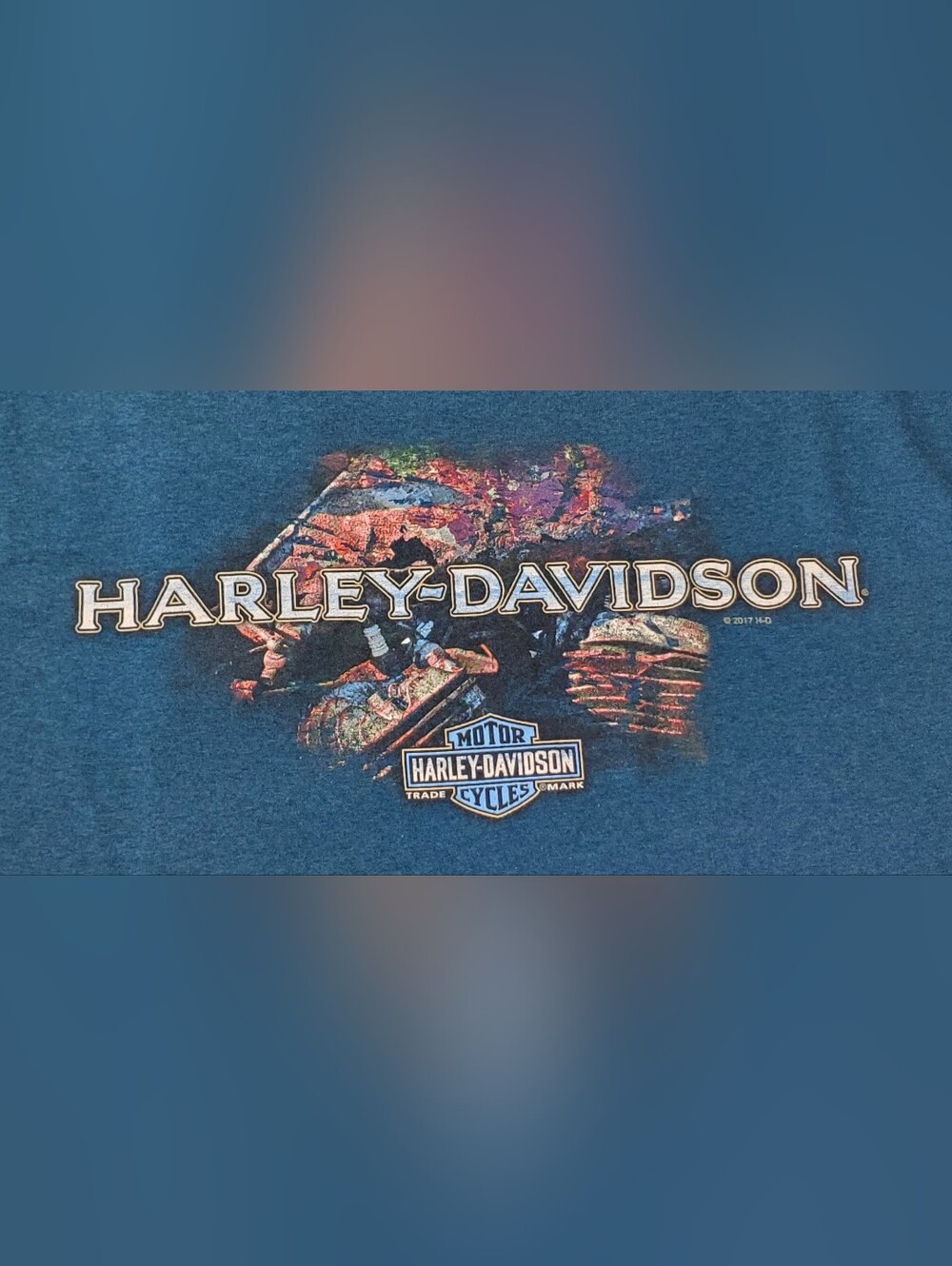 Harley Davidson Charlotte NC Double Sided Graphic Adult T-Shirt - Size XL - EUC